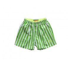 SUMMER STRIPE PANTS (GREEN)